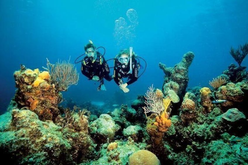 Discover Scuba Diving