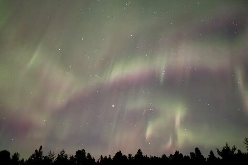 Husky Sled Ride Northern Lights Tour from Kiruna