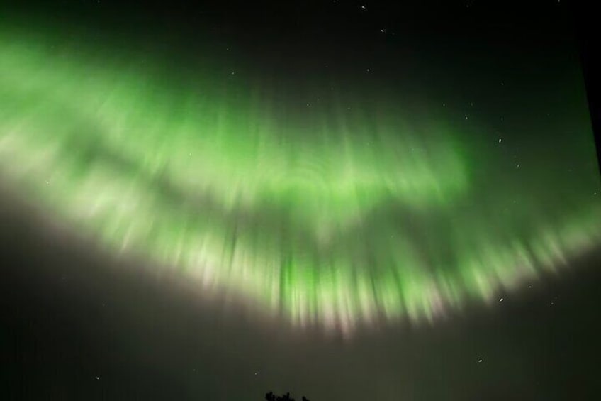 Husky Sled Ride Northern Lights Tour from Kiruna