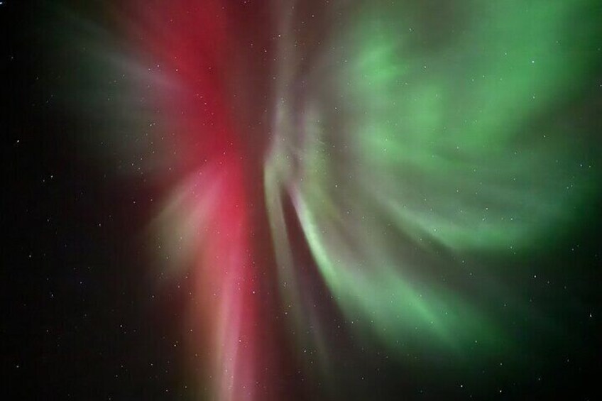 Husky Sled Ride Northern Lights Tour from Kiruna