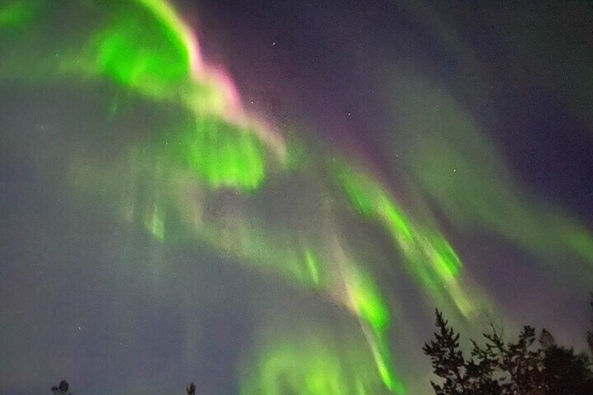 Husky Sled Ride Northern Lights Tour from Kiruna