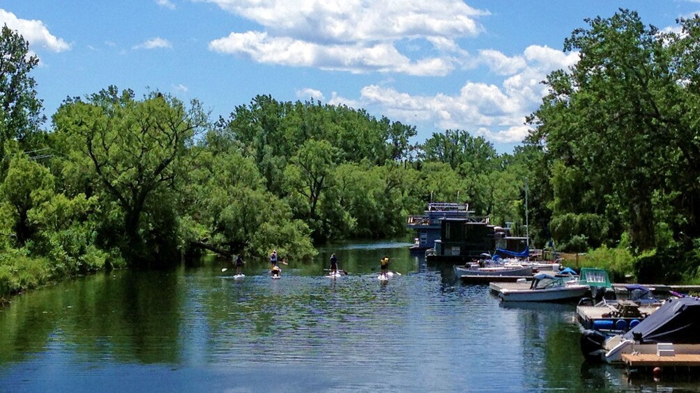 paddleboarders navigating along docked boats in Toronto