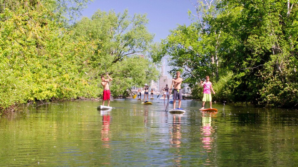 paddleboarders visiting the Toronto Island