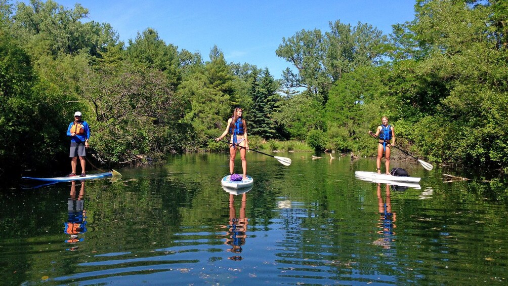 three paddleboarders on still water in Toronto