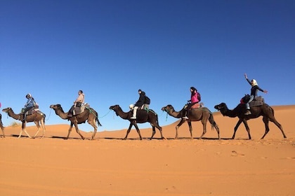 Sahara Desert + Atlas Mountains Tour - 3 Days 2 Nights - Fez to Marrakech