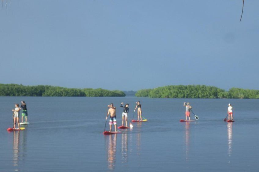 Stand up paddle in paradise