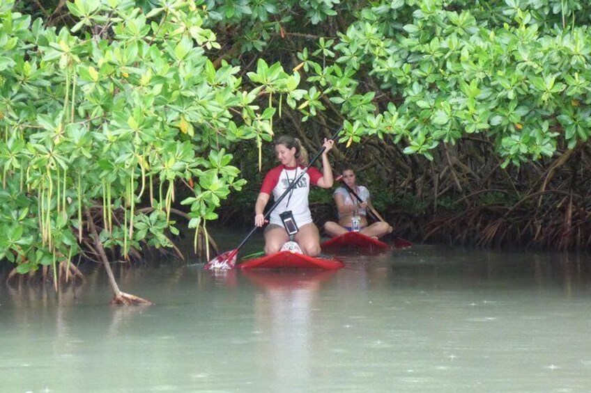 Stand up paddle in paradise