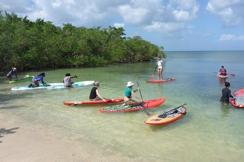 Stand up paddle in paradise