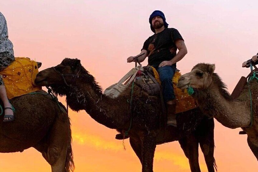 Camel ride 