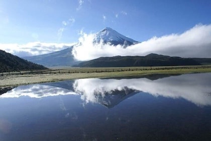 Cotopaxi Volcano & Limpiopungo Lake