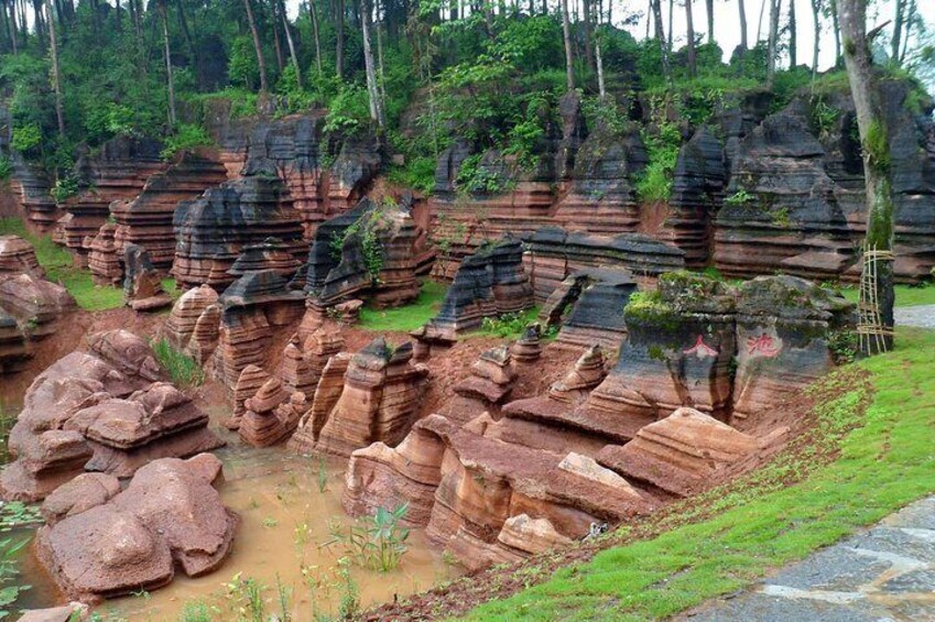 Day Tour for Furong Ancient Town and Red Stone Forest National Geological Park
