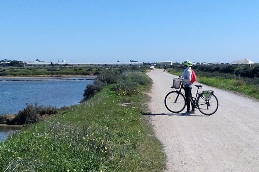 Passage through the salinas with bird watching