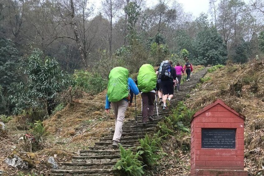 Way to Ghandruk Village
