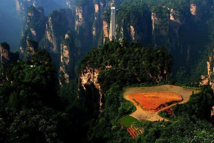 5 Days and 4 Nights Zhangjiajie and Fenghuang Private Tour
