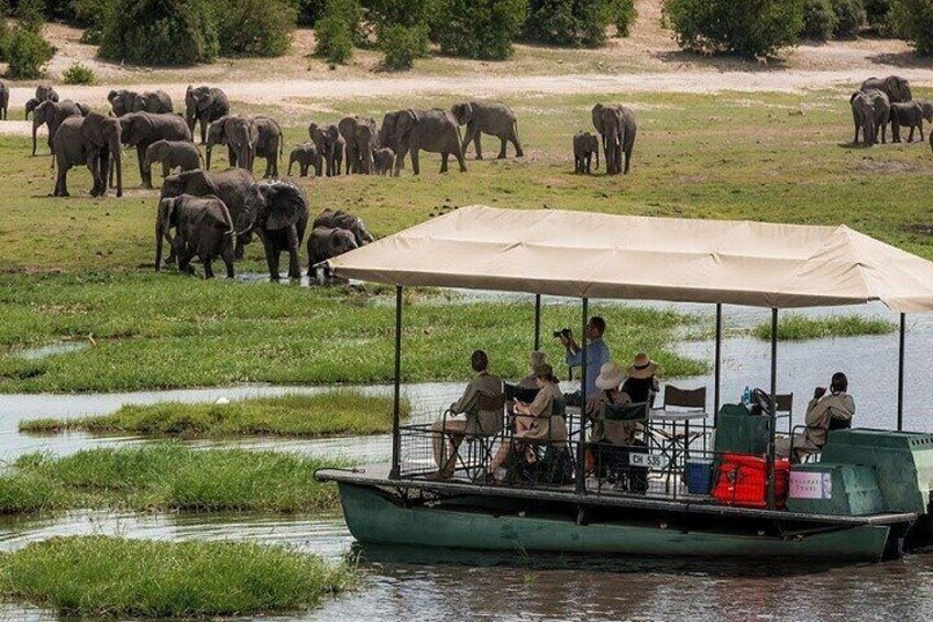 3 Hours Chobe Boat Cruise, Botswana