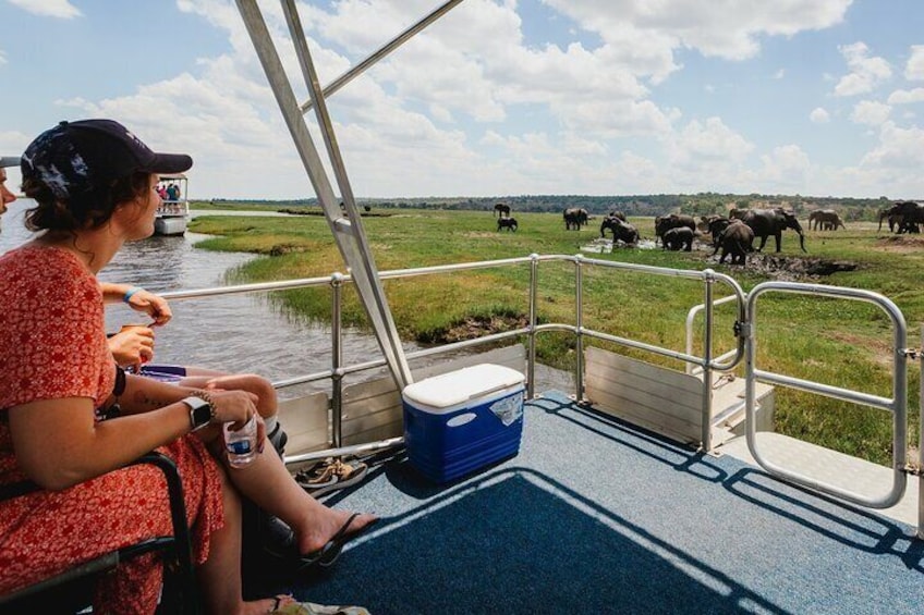 3 Hours Chobe Boat Cruise, Botswana