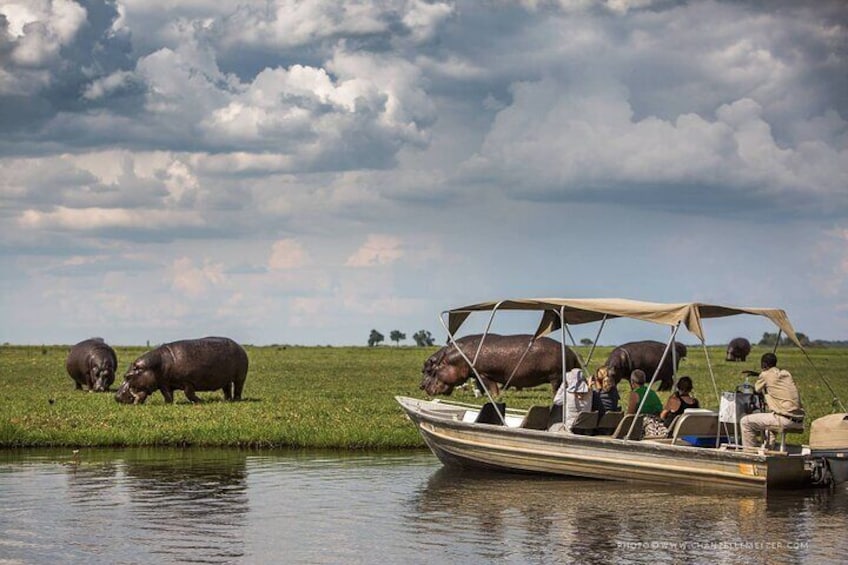 3 Hours Chobe Boat Cruise, Botswana