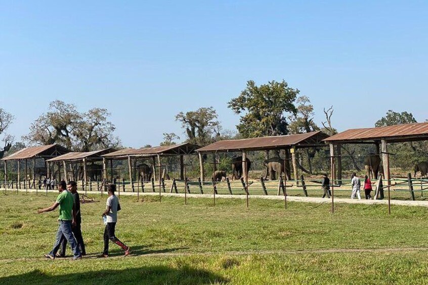 Elephant Breeding Center