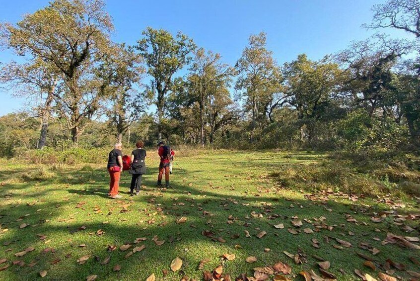 Nature Walk in Chitwan 