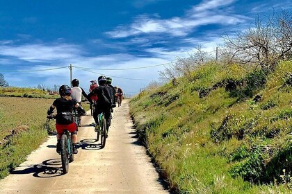 Enduro & Downhill mountain bike shuttle assisted tour