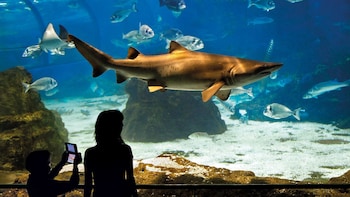 Biglietti per l'Aquarium Barcelona