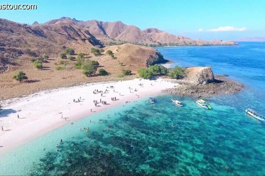 Full-Day Tour of Komodo Island