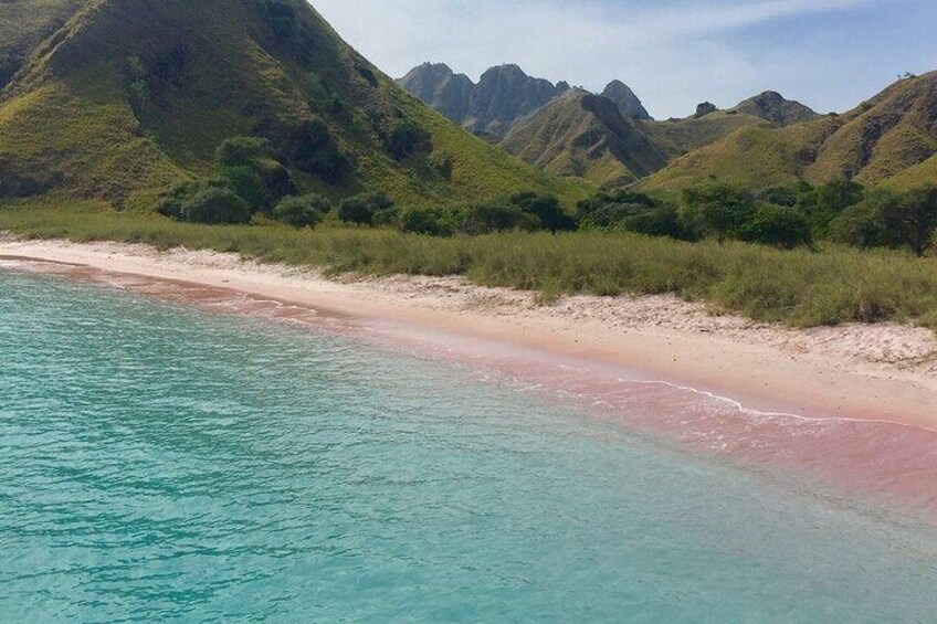 Full-Day Tour of Komodo Island