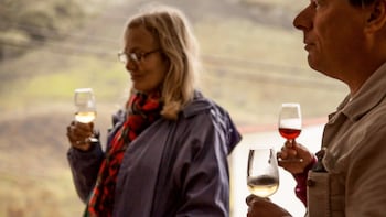 Northern Coast Tour with wine tasting & Coffee plantations