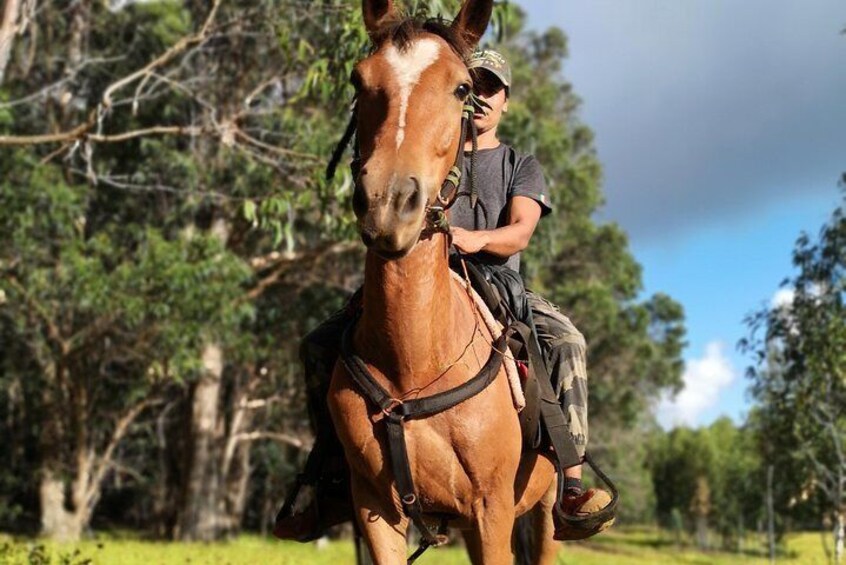 Ride to the highest point of the Island and leave your mark planting your own Tree