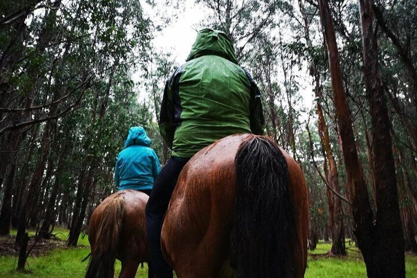 Ride to the highest point of the Island and leave your mark planting your own Tree