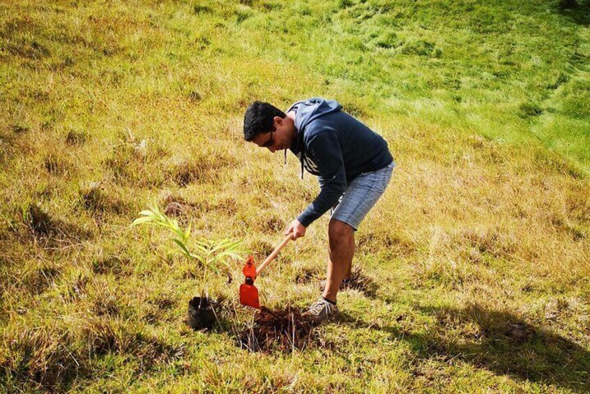 Ride to the highest point of the Island and leave your mark planting your own Tree