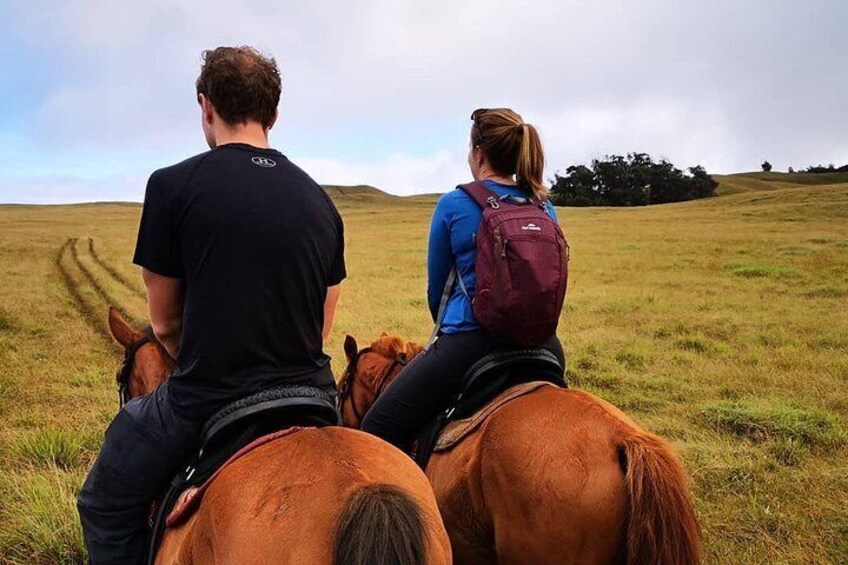 Ride to the highest point of the Island and leave your mark planting your own Tree