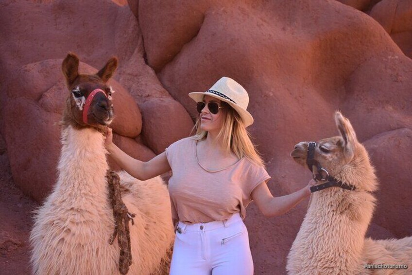 Purmamarca Walk with Llamas