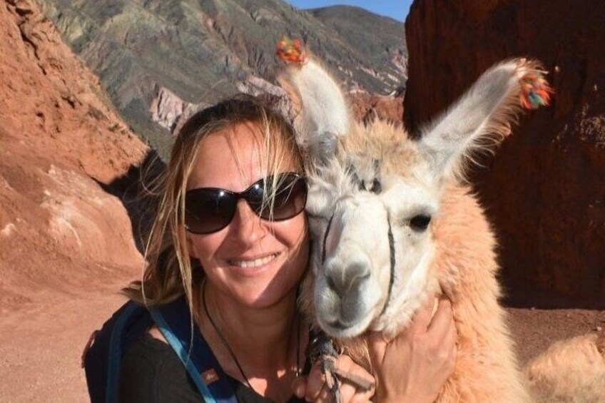 Purmamarca Walk with Llamas