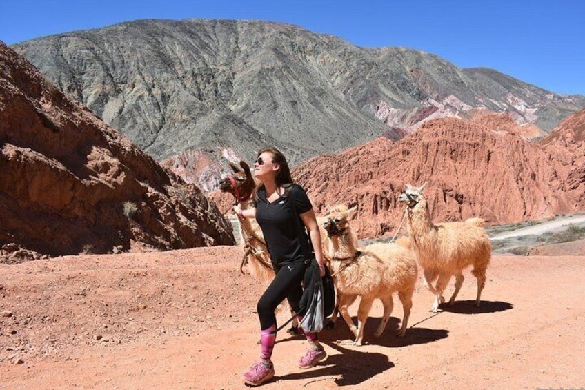 Purmamarca Walk with Llamas