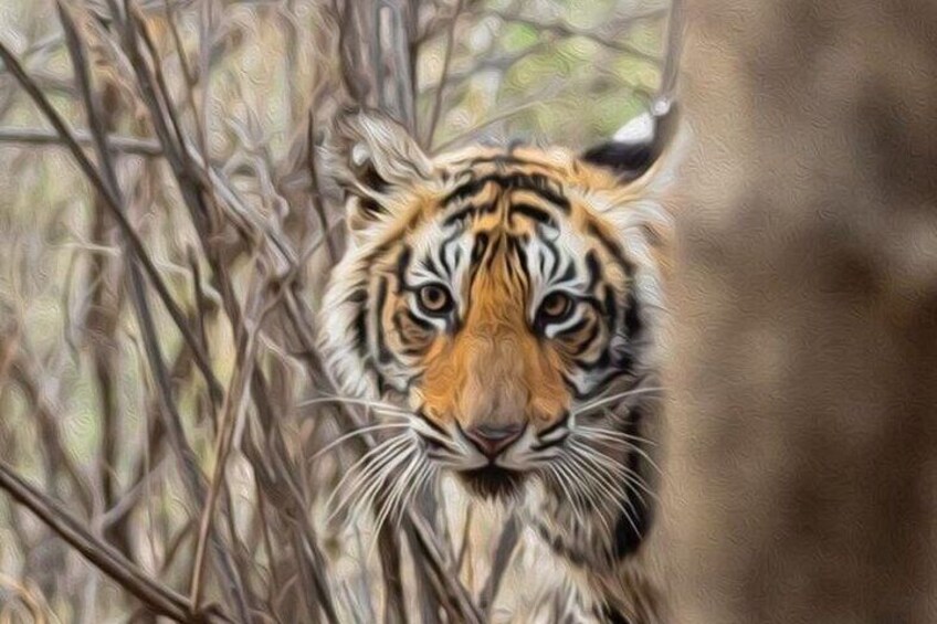 05 Days - Private Luxury Golden Triangle Tour with Ranthambore