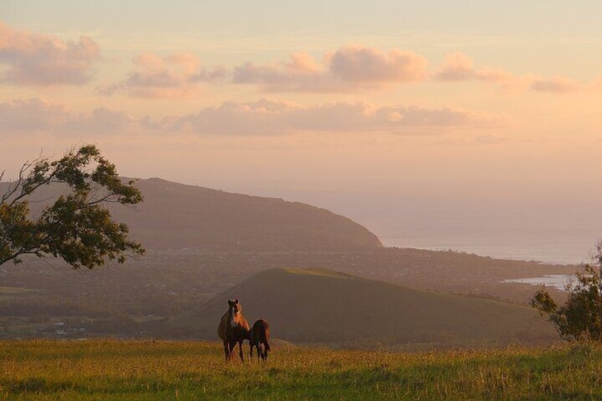 Ride to the highest point on the island for sunset