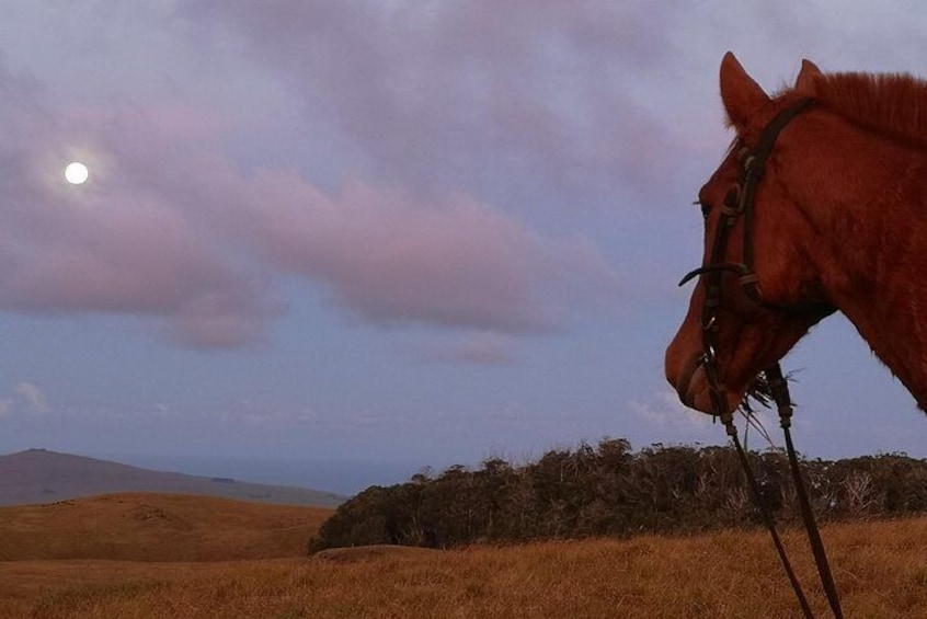 Ride to watch the sunset from the highest point of the Island