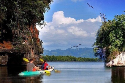 Los Haitises National Park Hiking + Kayaking (Private excursion)
