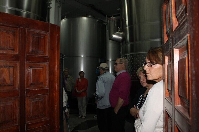 Private Full Day Wine Tour from Skopje to Popova Kula Winery
