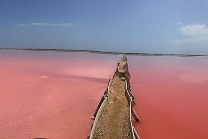 Pink Sea of Galerazamba