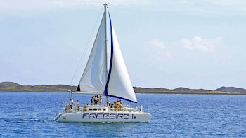 Freebird Catamaran Tour to Isla de Lobos