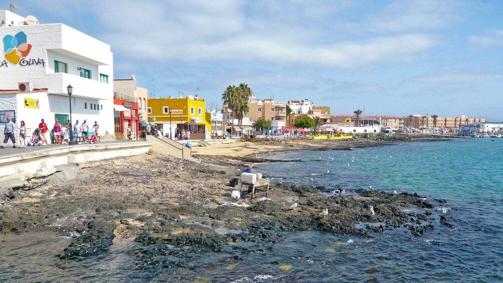 Foto 4 von 8 laden Serene view of Fuerteventura's Northern Coast