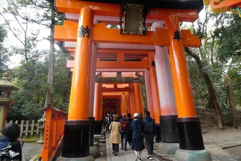 Shrine gates in Fushimi Inari