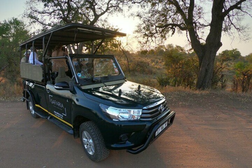 Kruger National Park Afternoon Sunset Safari Tour