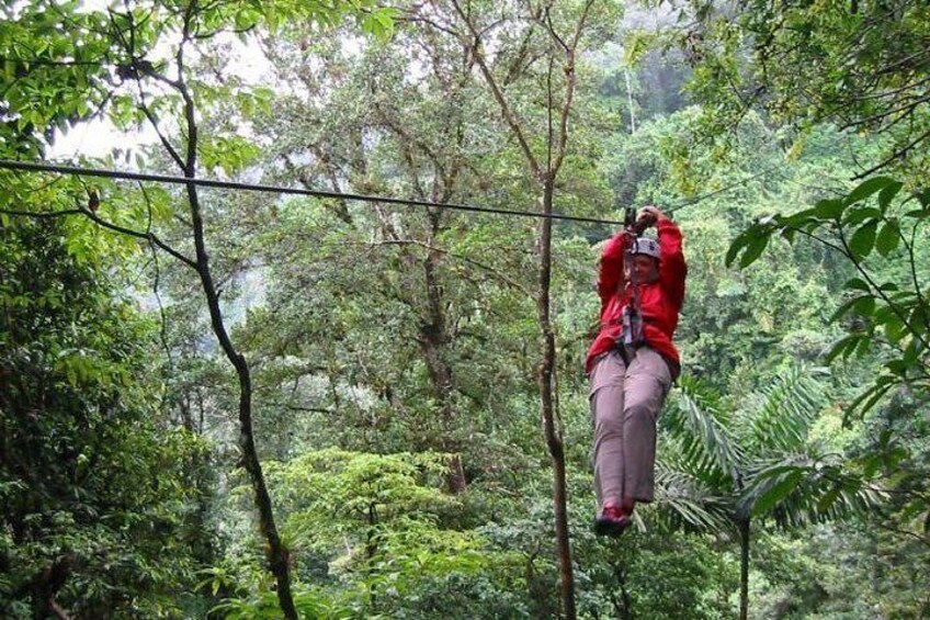 Hanging Bridges + Canopy Tour in the Monteverde Cloud Forest