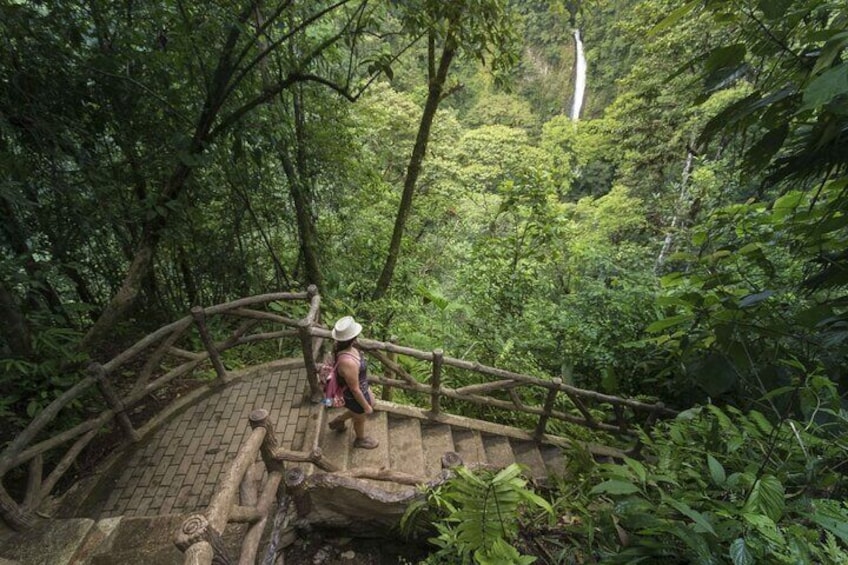 Hanging Bridges in Arenal