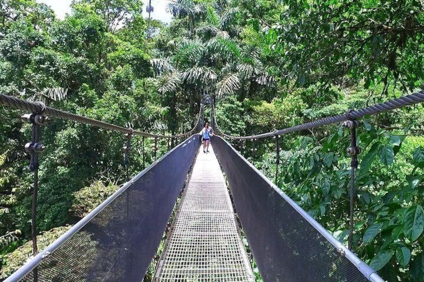 Hanging Bridges in Arenal