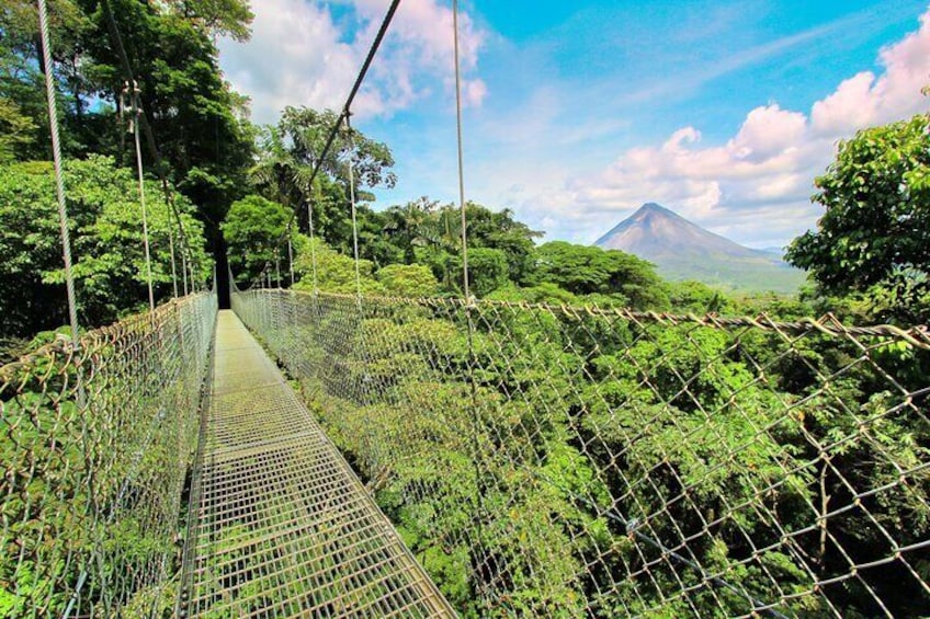 Combo Tour: Hanging Bridges + Thermal Spa in Arenal