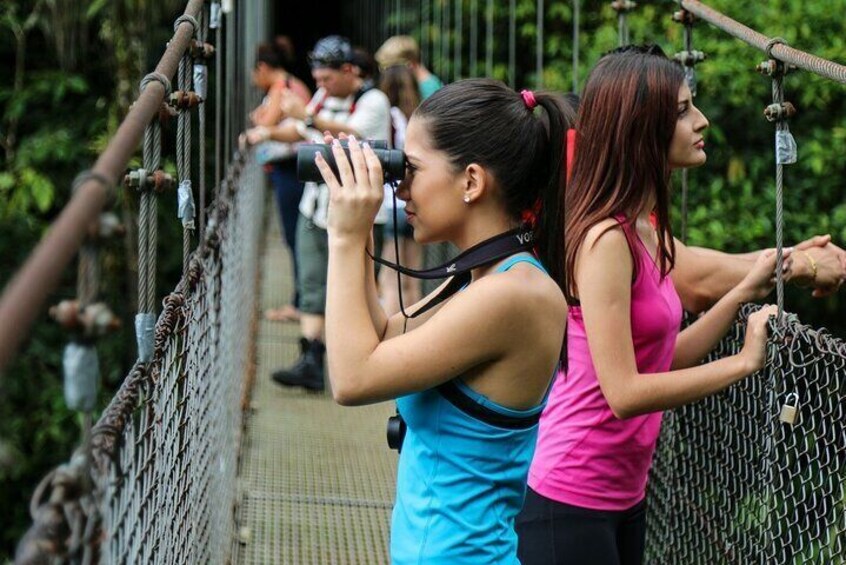 Hanging Bridges in Arenal